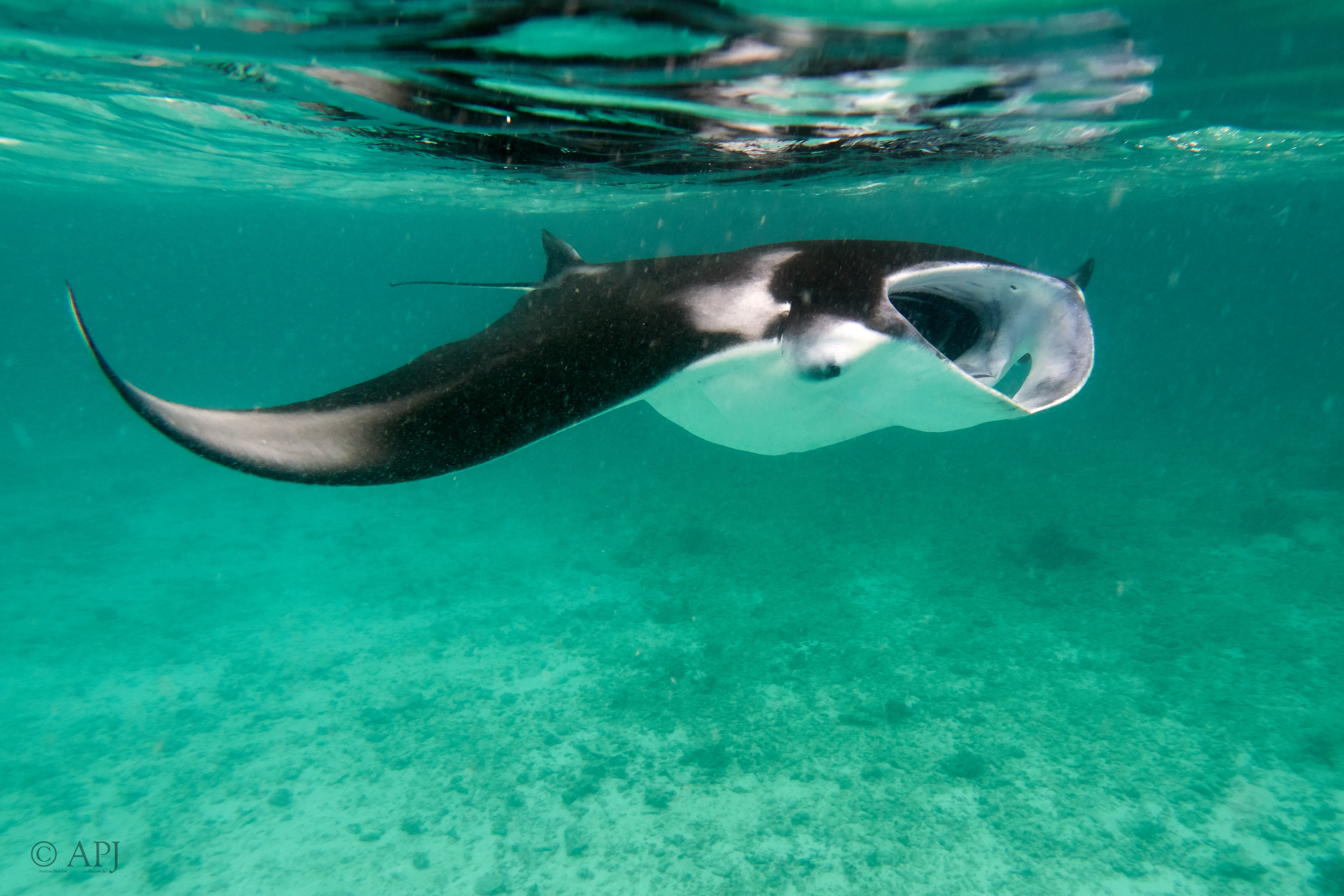 002659 17 08 17  Canon PowerShot G7 X Mark II   Malediven2017